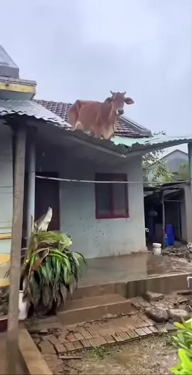 තැනකට වරෙන් ආවෙ කොහොමද කියල හිතාගන්න බැරි වෙන්න 🙂👍🏻