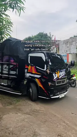 #canterherex #herexstyle #cantermaniaindonesia #storytruck #sopirmeteran 