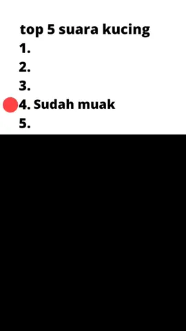 #cat #catlover #funny #funnyvideos #pfy 