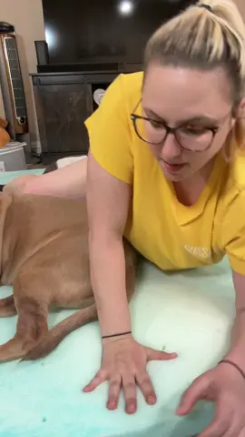 #tiktokshopblackfriday #mattresstopper 