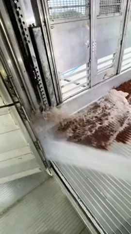 #pressurewashing #soclean #satisfyingvideo #asmrcleaning #cleanwithme 