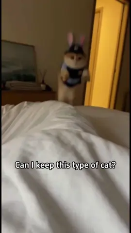 What does your cat look like!#Science #popular #usa #cat 