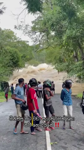 මිනිස්සු මීට වඩා සැලකිලිමත් වුනා නම් හොදයිනේ ‼️