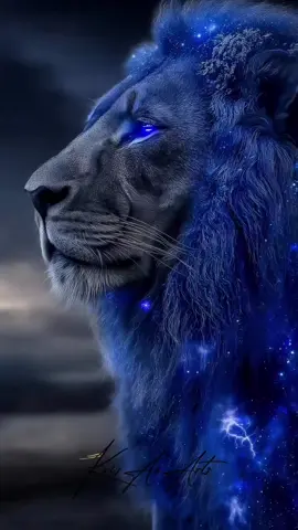 #leo 