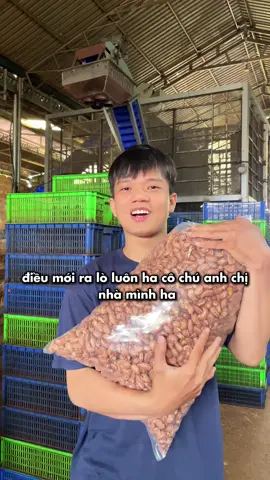 Tại xưởng nhaaa #dieumuonnoi #hatdieubinhphuoc #hatdieurangcui #hatdieurangmuoi #hatdieu 