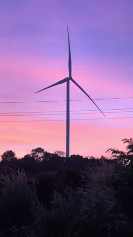 #nongtraiiamua #càphechill 