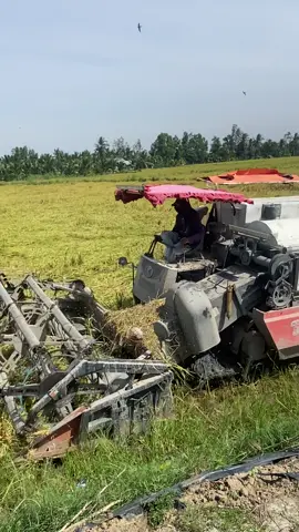 Nay rập ido@hoang phi nha 😆🥰