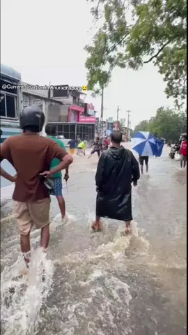#anuradhapura_sri_lanka🇱🇰 #flood #fishing #currentsituation 