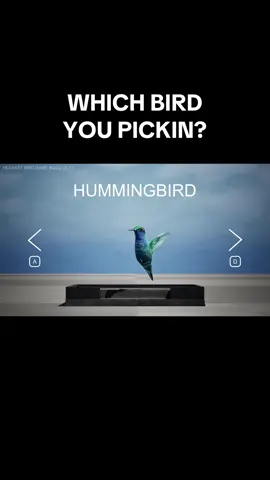 Dont worry Shoebill is coming soon #birdgame #birdgame3