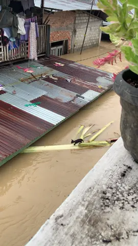 kasian banget dia kedinginan 😭🥶#bencanaalam #banjir #binjaitiktok #medan 