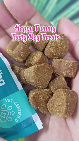 Dog Treats with benefits #dogtreats #drshibahappytummy #drshiba #tiktokpetsshortvideochallenge 
