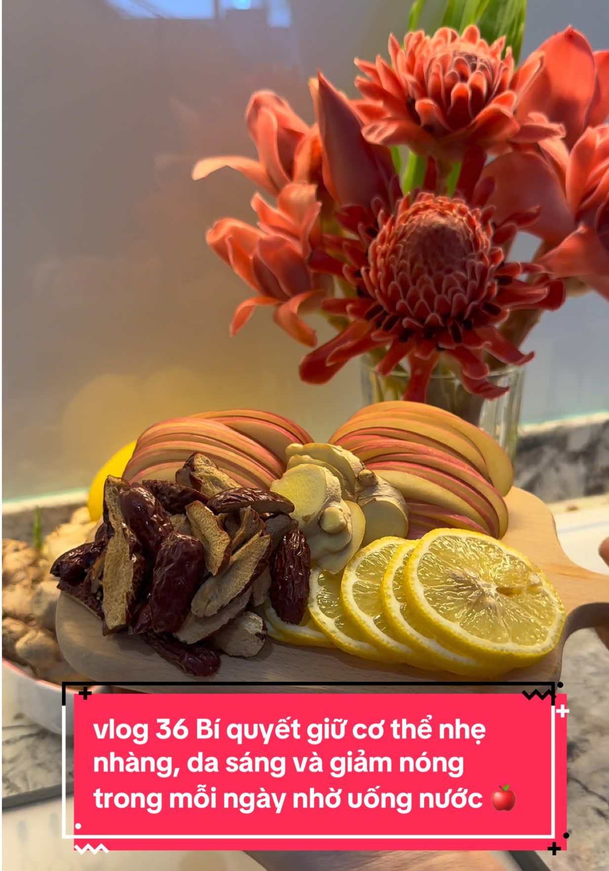 vlog 36 Bí quyết giữ cơ thể nhẹ nhàng, da sáng và giảm nóng trong mỗi ngày nhờ uống nước Táo - Táo Đỏ -Gừng - Chanh + Hạt Chia nhà Ngọc anh uống thường xuyên mỗi ngày luôn ạ. #ngocanhnangdauvietomalaysia #cooking #dailyvlog #healthyfood #gungtaodo 