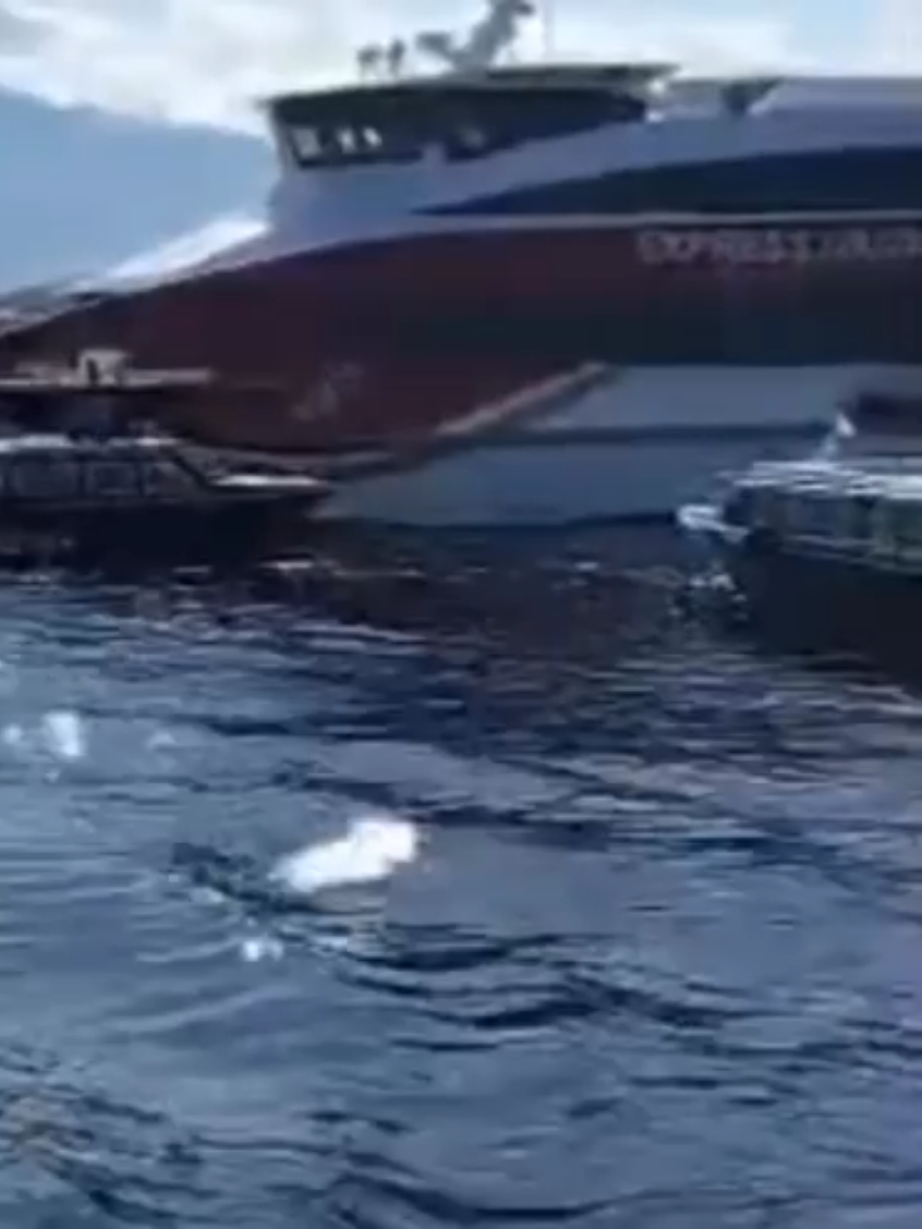 Tim KPLP Halmahera Barat melakukan evakuasi Kapal cepat (kacep) express Cantika 08 untuk dapat masuk di pelabuhan Jailolo yang di hadang oleh para nahkoda Speed boat yang protes dengan kehadiran kacep di Jailolo #kapalcepat #chantika08 