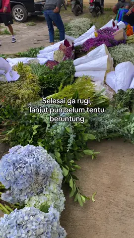 Kring meluncur✈️  Info pemesanan 📲 0882003503481  #fyp #fypviralシviral #freshflowers #pasarbungabandungan #munculberanda 
