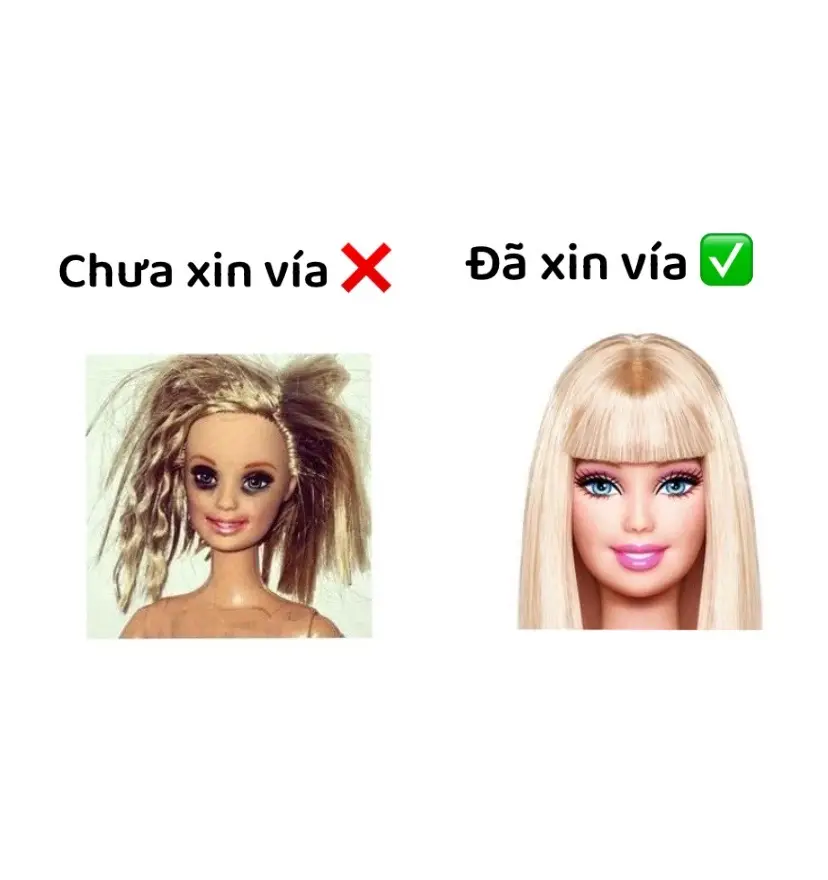 #12cunghoangdao#12cunghoangdao_ccuaa🦀#12thangsinh#12chomsao#xuhuongtiktok 