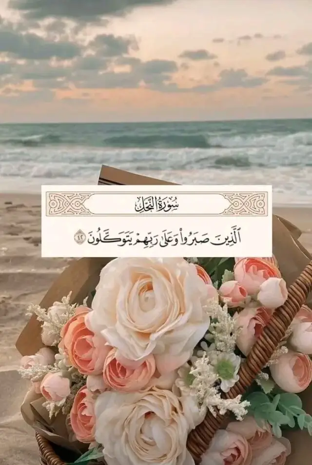 #اللهم_صل_وسلم_على_نبينا_محمد #قران_كريم_ارح_سمعك_وقلبك #قران_صلي_علي_النبي #راحة_نفسية 