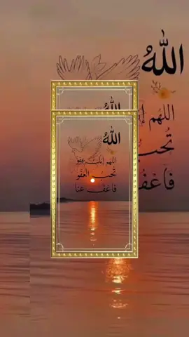 #🌹🌷🌺 #♥️♥️♥️♥️❤️‍ الله ارحم ضعفنا واغفر لنا يارب العالمين