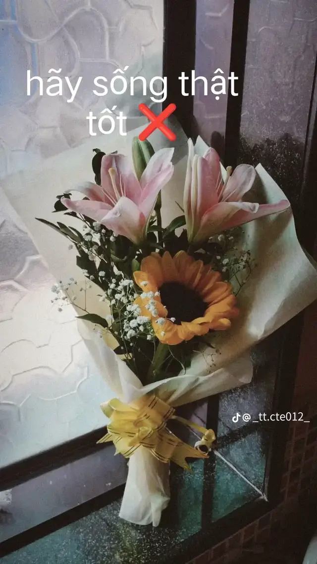 thôi mợ đành chấp nhận mất đi 1 ng đã là 1 phần thanh xuân của mợ tạm biệt nhé 🤍🌻