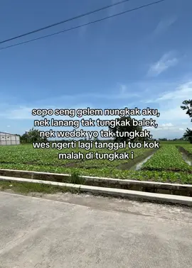 #4u #bismillahfypシ #foryoupage #storytime #masukberanda 