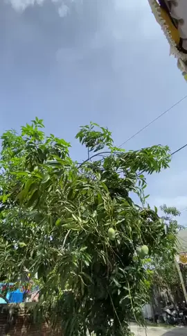 naliko pengen ngono kuwi biyen ngasi di rasani wong kae berjo koc gak tau prei .... #fyppppppppppppppppppppppp #sorotannnnnnn#kangsalon #kitaperintisbukanpewaris