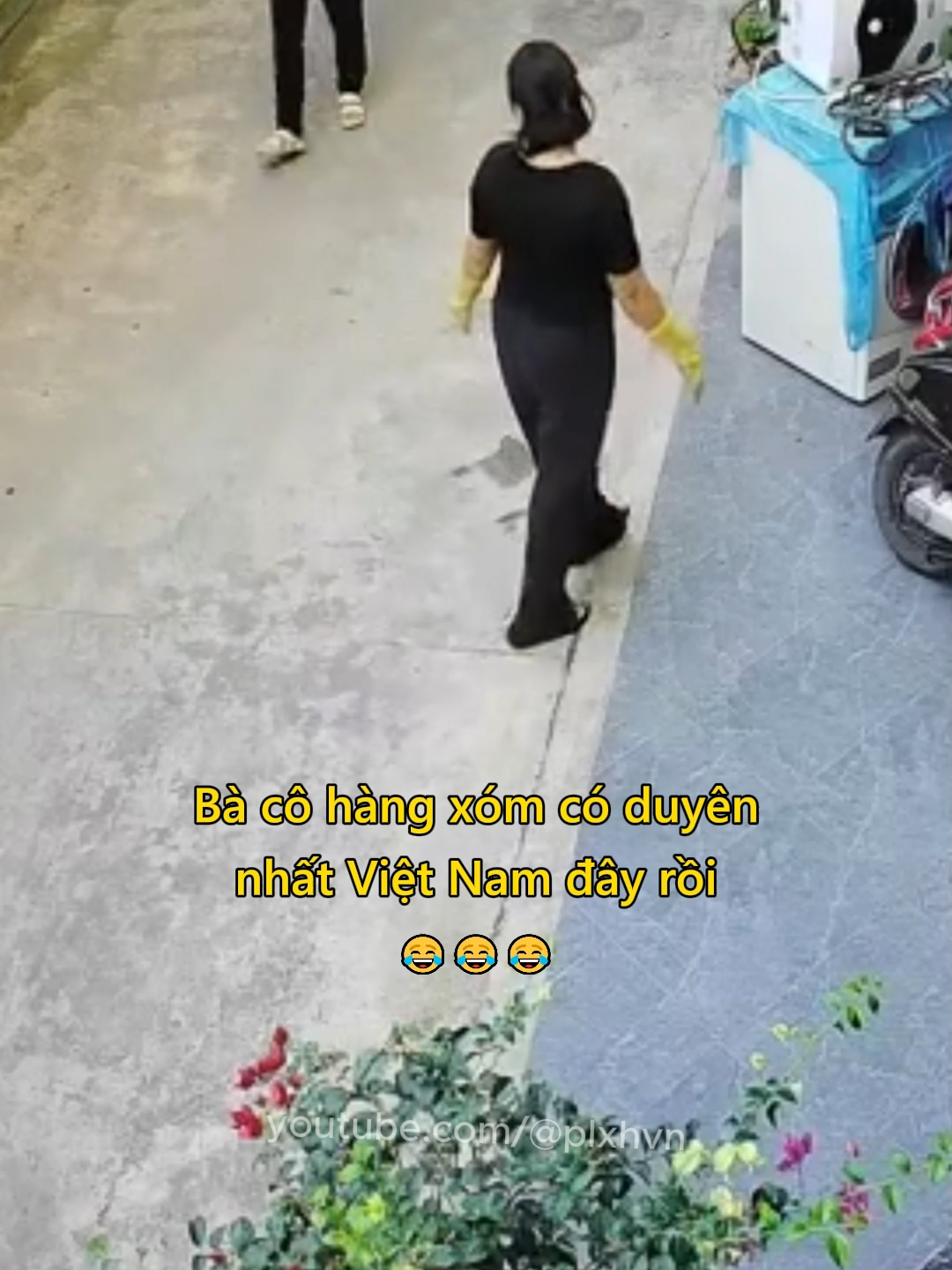 Bà cô hàng xóm có duyên nhất Việt Nam đây rồi 😂 #hangxom #vanhoa #giadinh #cuocsong #vuive #haihuoc #plxhvn #phapluatxahoi