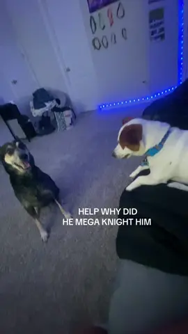 another post lol #fyp 