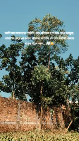আমি যার যগ্য হতে পারিনি, তার জীবনে যগ্য হয়ে কেও আসুক, আমাকে পেয়ে যে ভালো থাকতে পারেনি, সে তার ভালো থাকার মানুষ খুঁজে পাক...!🤍😅 #foryoupage❤️❤️ #