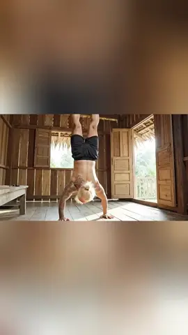 Hùng chồn bán xe sh troll capybara#capybara 