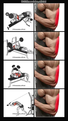 ✅ How to Build Bigger Triceps ① Decline Triceps Extension  ② Larsen Close Grip Press ③ Tate Press ④ Cable Overhead Extension  3 sets 12-15 reps 