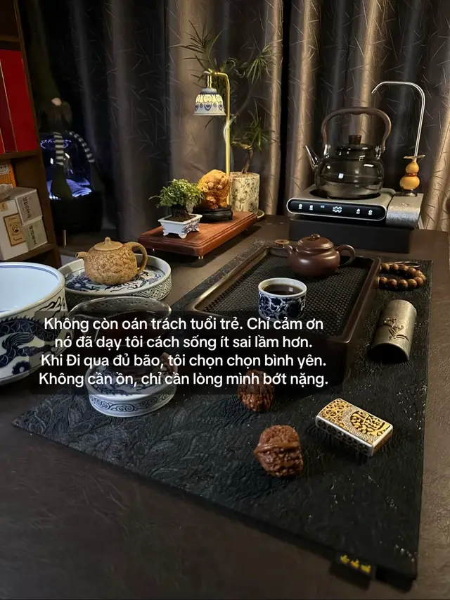 Không còn oán trách tuổi trẻ. Chỉ cảm ơn  nó đã dạy tôi cách sống ít sai lầm hơn. Khi Đi qua đủ bão, tôi chọn chọn bình yên.  Không cần ồn, chỉ cần lòng mình bớt nặng. #stthaymoingay #xuhuongtiktokk 