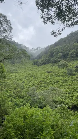 #gunung #pendakigunung 