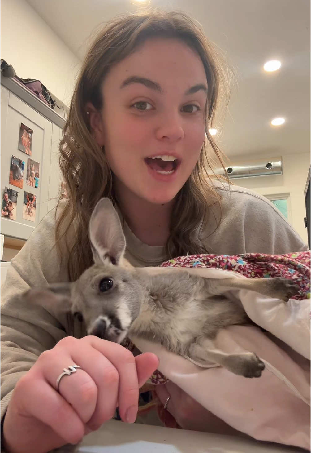 Let’s give all my animals treats for thanksgiving! 