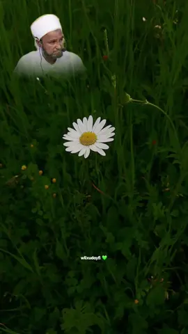 kan qabiilkiisa uficil tamaya 🥺 #sheekh_xusen_cali_jabuti #kusali_rusul_kena_muxamed_scw #muxaadaro #wacdi_iyo_waano #allahuakbar 