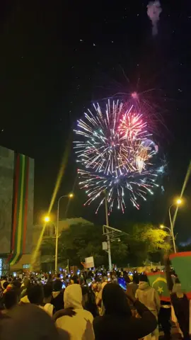 #mouritanie🇲🇷💚💛 #28november #fyp #viralvideos #fireworks independent night 🇲🇷🤍
