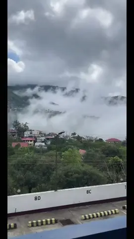 BELLE🌸, thank you for the incredible support in my LIVE! I will keep creating better LIVE content!#tiktoklive #livehighlights #livegift #redcarpet #flamingogroove 