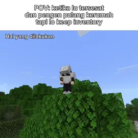 Ngaku ga lu pada 🫵 (Sama dong, gw juga begitu 😁)  #Minecraft #pov #meme #fyp 