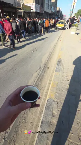 #الديوانيه #لايك_متابعه_اكسبلور #اكسبلورexplore 