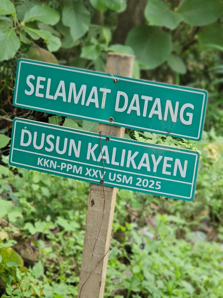 Dampak Akibat Aktivitas Galian Kalikayen Aktivitas galian yang terus berjalan di kawasan Kalikayen tak hanya menimbulkan keresahan, tetapi juga meninggalkan dampak yang semakin dirasakan warga setiap hari.  Hilir-mudik truk pengangkut material dengan tonase besar menyebabkan kondisi jalan desa cepat rusak—aspal mengelupas, permukaan ambles, hingga muncul lubang-lubang yang membahayakan pengendara, terutama saat malam hari.  Selain itu, debu tebal yang beterbangan dari lalu lintas truk serta tumpahan material membuat udara di sekitar pemukiman menjadi tercemar.  Warga mengeluhkan kualitas udara yang memburuk, teras rumah dipenuhi lapisan debu, dan anak-anak kerap batuk karena terpapar polusi. Situasi ini membuat masyarakat semakin khawatir bahwa aktivitas galian yang diduga ilegal tersebut tidak hanya mengancam lingkungan sungai, tetapi juga langsung merusak infrastruktur dan kesehatan warga di sekitarnya. #pertambangan #tambang #kalikayen #semarang #keluhanwarga 