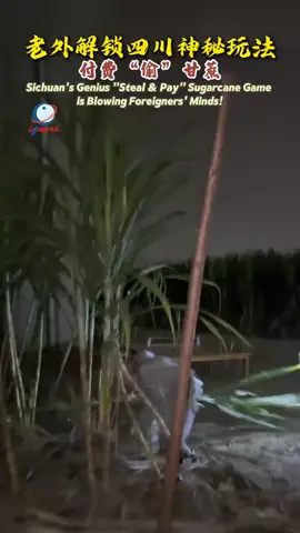 Sichuan’s Genius “Steal &Pay” Sugarcane Game is Blowing Foreigners’s Minds!