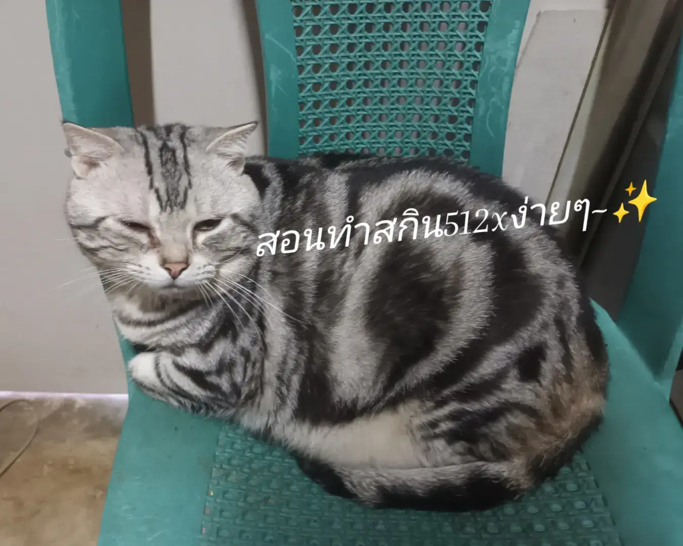 สกินเพื่อนนะก้าบ~ . . . . . . . . . #pixelart #Minecraft #minecraftskin #สกินมายคราฟ #สกินมายคราฟ512×512 