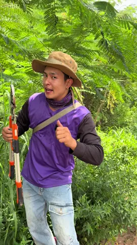 #กรรไกรตัดแต่งกิ่งไม้#กรรไกรตัดแต่งกิ่งไม้ด้ามยืดหดได้#วัยรุ่นทํานาพิษณุโลก🌾❤🙏🏻 