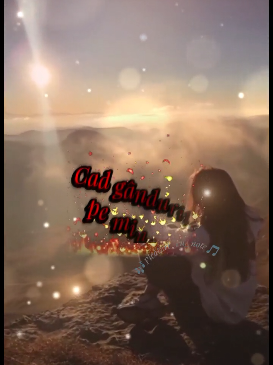 #🎶picături_cu_note🎵 #templatecapcut #muzicădetop🎧4you #MuzicăNoua2025 #CapCut 