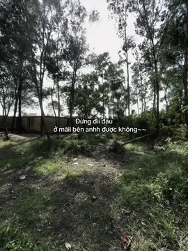 Dung di dau, o mai ben anh dc khong..#viral #gttxhuong #froyou #fly #tamtrang 