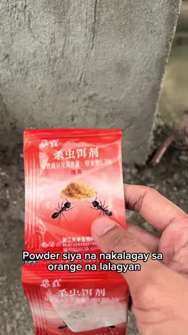 Ant insect killer powder #ant  #insect  #powder 