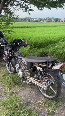 owner metuo 🤣 #foryoupage #fyp #xybca #kphgank🚀 #creatorsearchinsights 