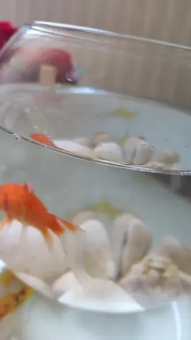 #جمعة_مباركة 