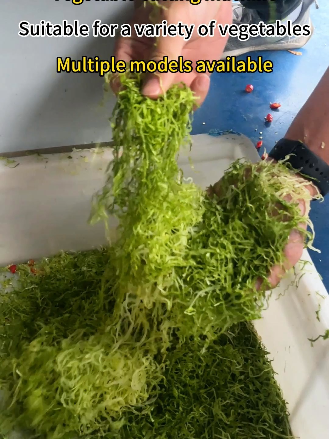 Multi-functional vegetable cutting machine Cabbage cutting machine #vegetablecutter #cuttingmachine #vegetablecutters ##vegetables #cutter #foodmachinery #machine