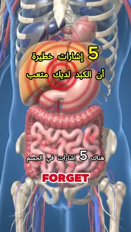 #ضغط_العلاج_بالإبر #نصائح_صحية #رفاهية_يومية #شفاء_طبيعي #تمارين_منزلية   