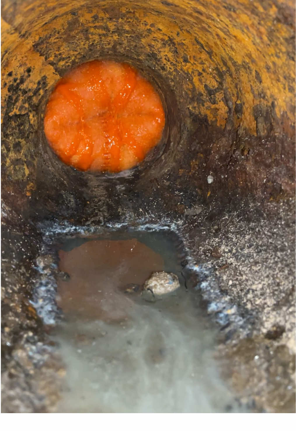 #relining #foruyou #fyp #swifties #mukbang 