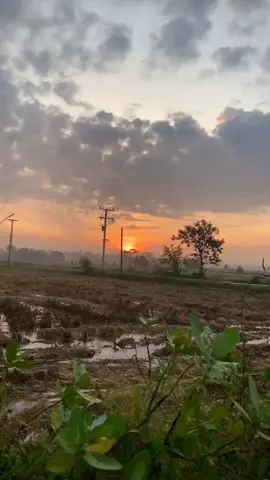 #เทรนด์วันนี้ #ท้องนาหลังฤดูเก๊บเกี่ยว